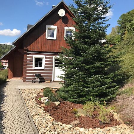 Modern Chalet Na Zlatniku Zlata Olesnice  エクステリア 写真