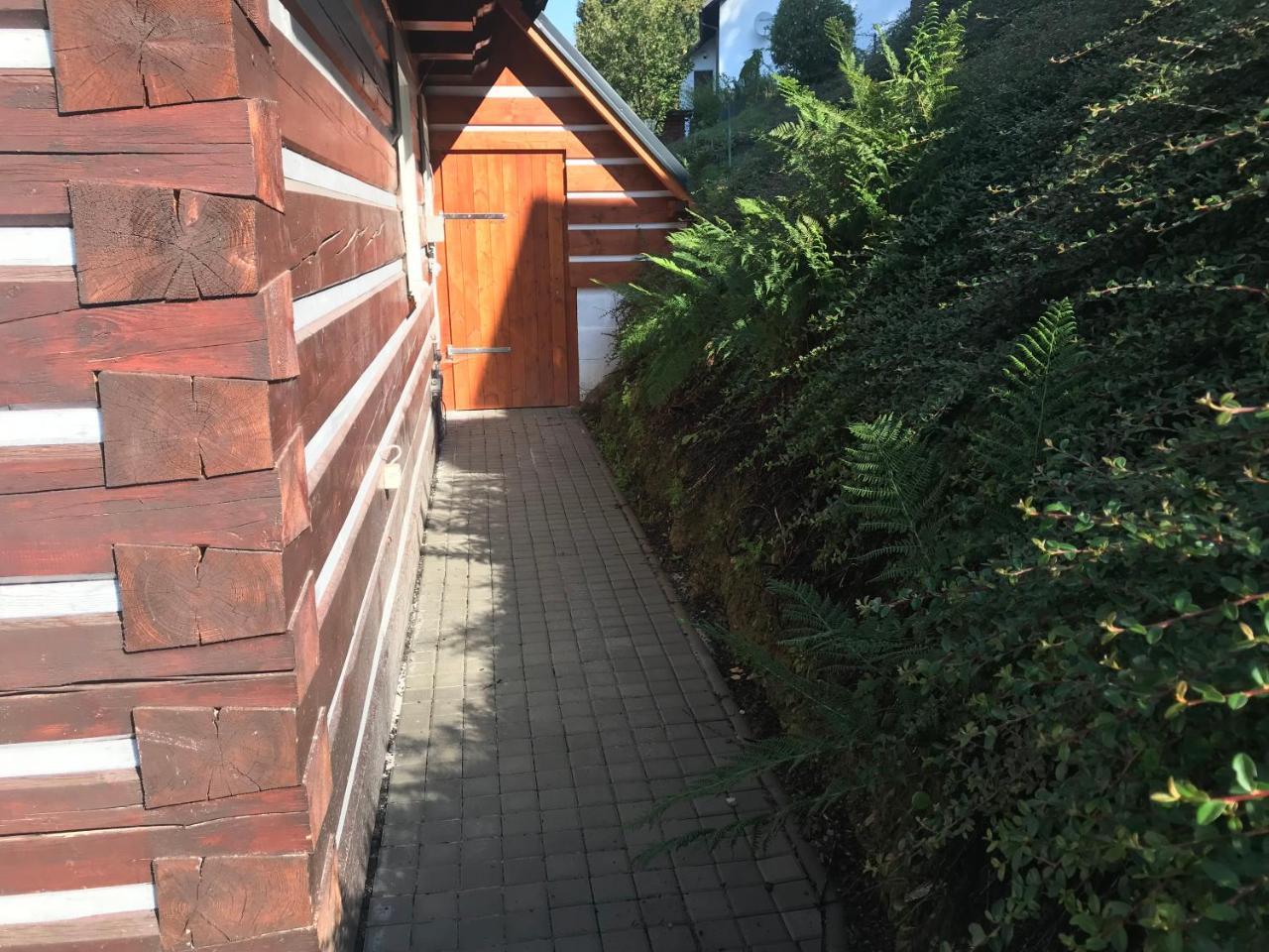Modern Chalet Na Zlatniku Zlata Olesnice  エクステリア 写真