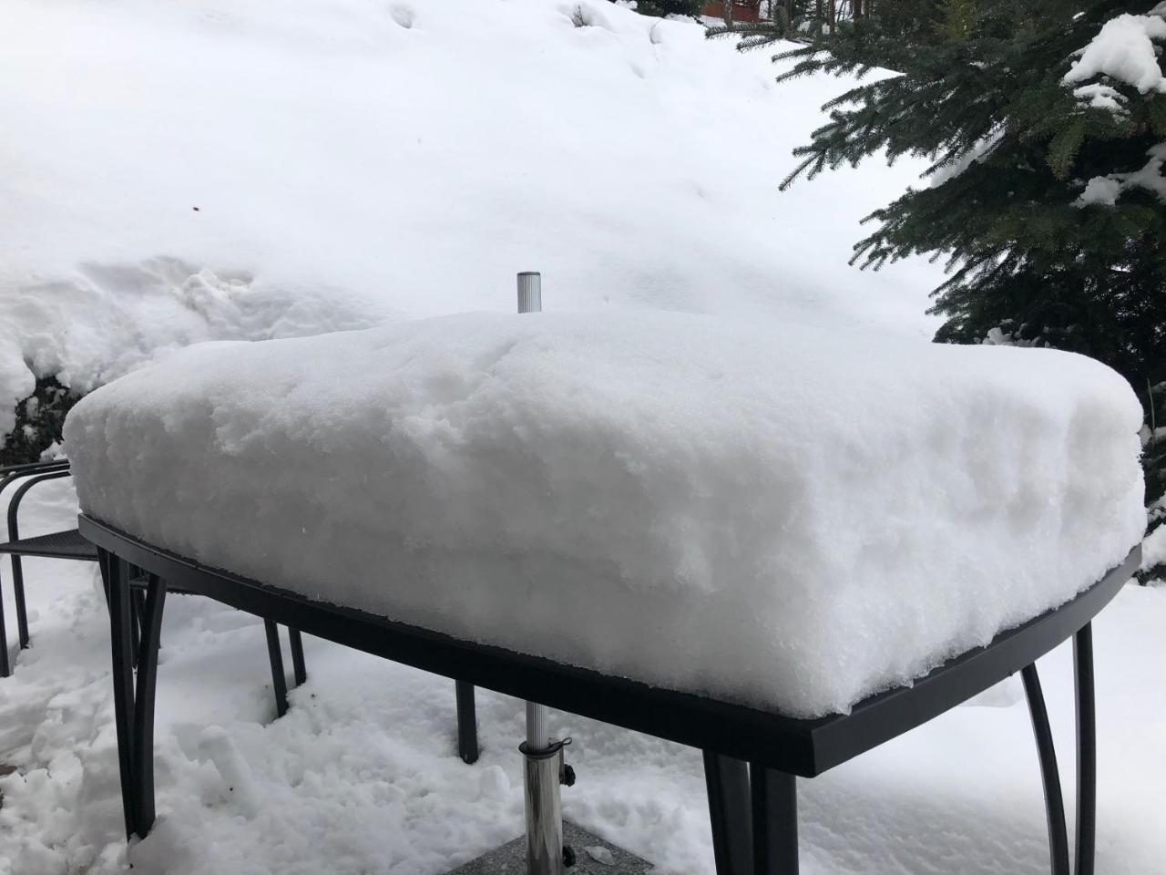 Modern Chalet Na Zlatniku Zlata Olesnice  エクステリア 写真